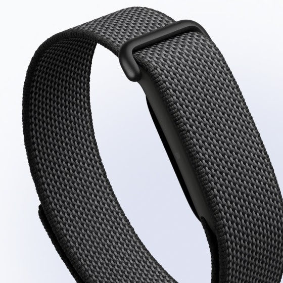 Google Fitbit Air